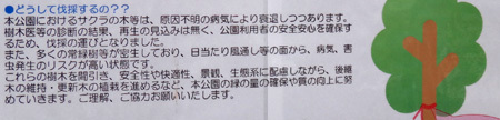 blog13.3.24fujipark3.jpg