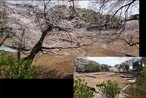 blog13.3.26odawarajyo2.jpg