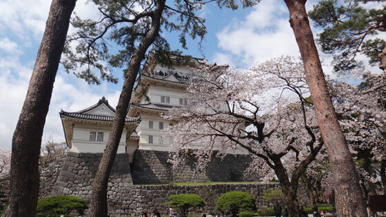 blog13.3.26odawarajyo3.jpg