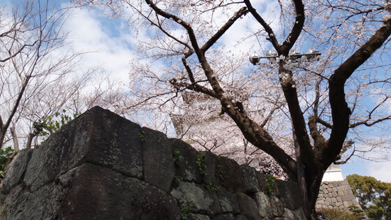 blog13.3.26odawarajyo4.jpg