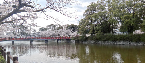 blog13.3.26odawarajyo8.jpg