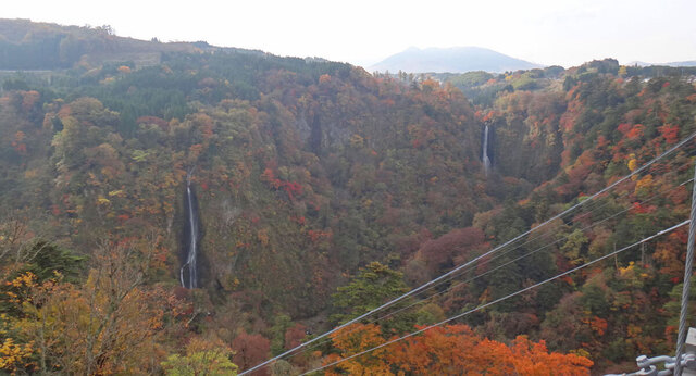 blog14.11.11fall.jpg
