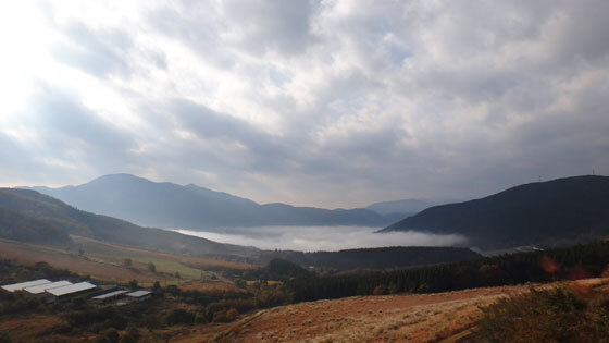 blog14.11.11fog.jpg