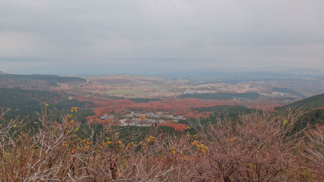 blog14.11.11senomoto.jpg
