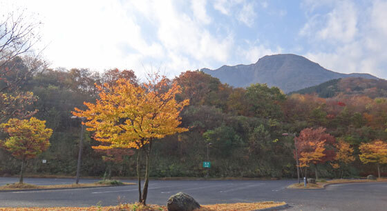 blog14.11.11yufudakepa.jpg