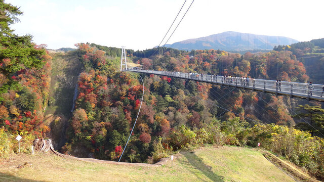 blog14.11.11yumebridge1.jpg