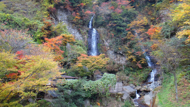 blog14.11.13takinoyu.jpg