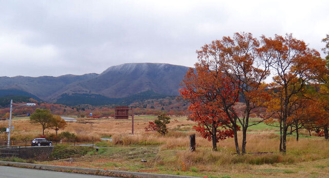 blog14.11.14senomoto.jpg