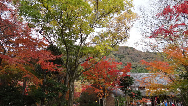 blog14.11.14yufuin1.jpg