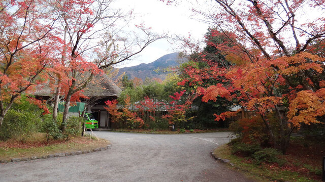 blog14.11.14yufuin2.jpg