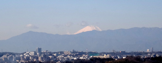 blog15.1.11fuji.jpg