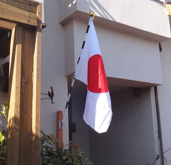 blog15.2.19nationalflag.jpg