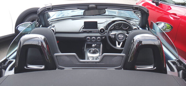 blog15.6.10roadster3.jpg