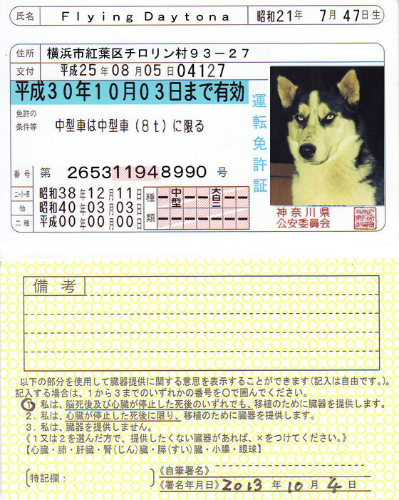 blogdrivinglicence2013.jpg